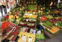 تابستان گذشته میوه و تابستان / بی ثباتی در قیمت گیلاس