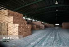 شرایط شستن چای در گمرک اعلام شد
