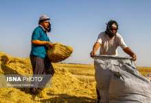 خبرهای خوشی برای کشاورزان در راه است