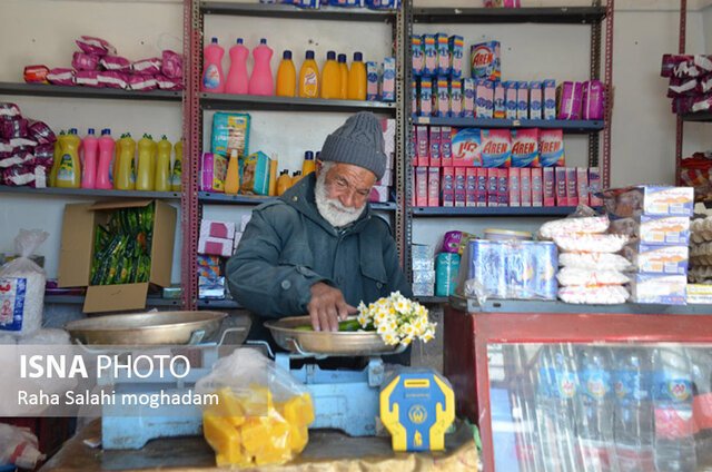 قیمت ناچیز گلُی که عطرش تا فرانسه رسیده است