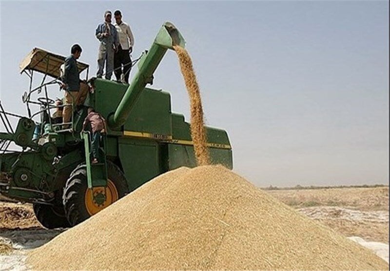 تجاری سازی کشاورزی از مهم ترین اهداف جهاد کشاورزی استان قم است