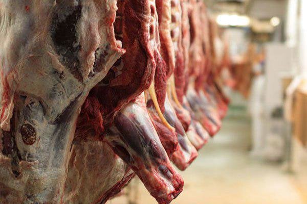 عوامل چهار گانه در افزایش قیمت گوشت قرمز