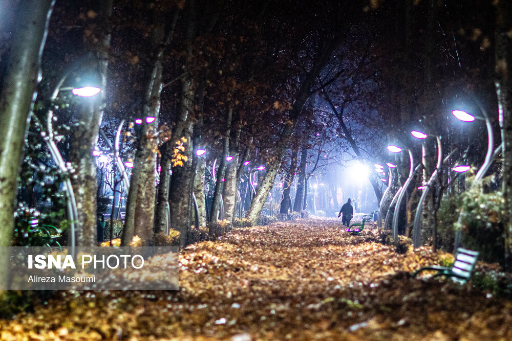 تهران سردتر می‌شود - ایسنا