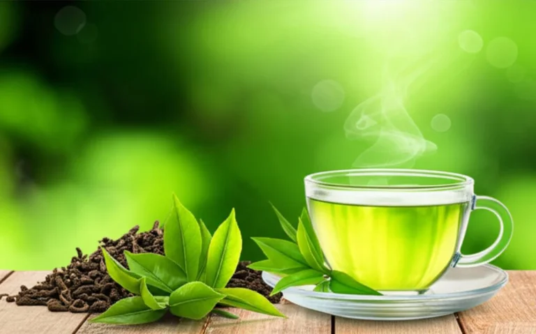 چای سبز و لاغری | کشف ترکیبات کلیدی برای کاهش وزن