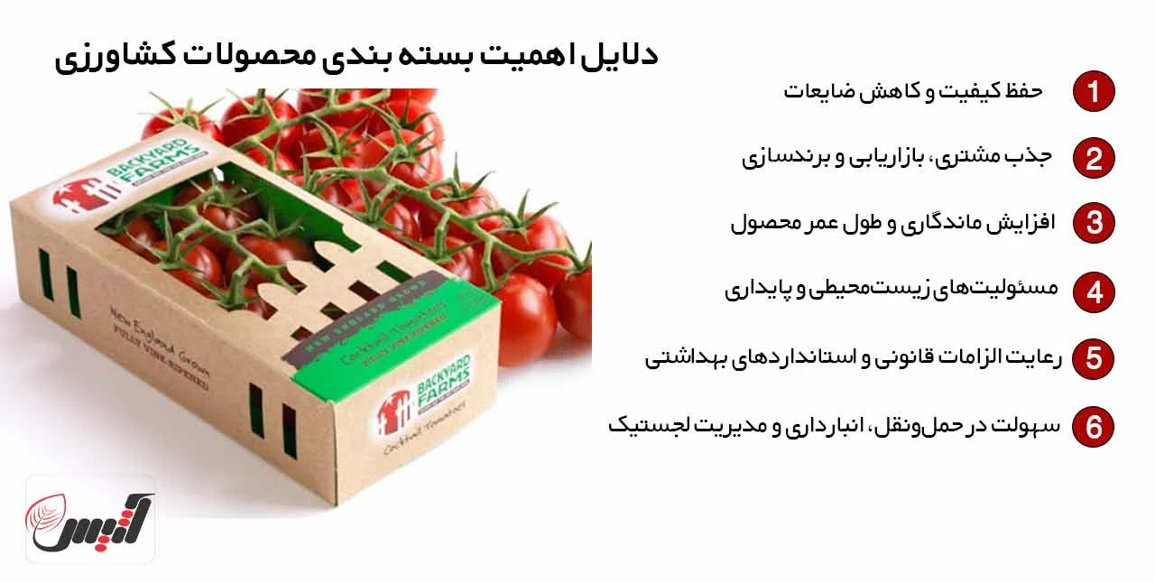 انواع بسته بندی محصولات کشاورزی